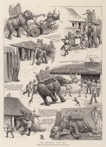El elefante que lo hizo